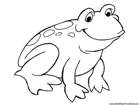 18 Top Easy Frog Coloring Page