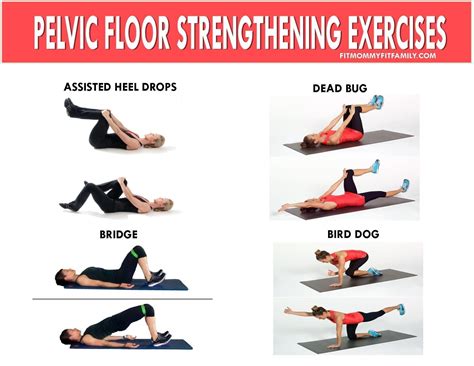 Pelvic Floor Therapy Exercises Aflooringg