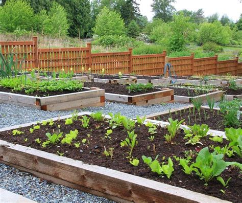 Which Is Best The Pros And Cons Of Raised Beds And In Ground Gardens