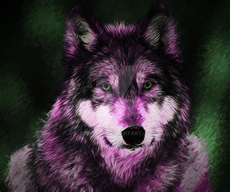 Pink Wolf By Drroyal On Deviantart