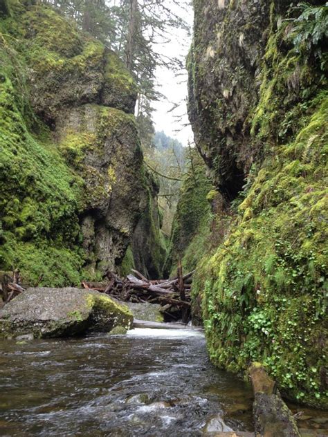 Oregon Oneonta Gorge Oneonta Places To Go