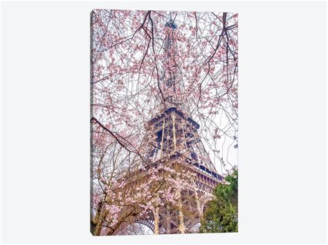 Pink Blossoms Eiffel Tower Canvas Print By Rose Palmisano Icanvas
