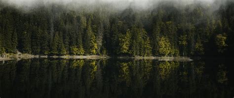 Отражение леса в озере Обои 2560x1080 Uwhd