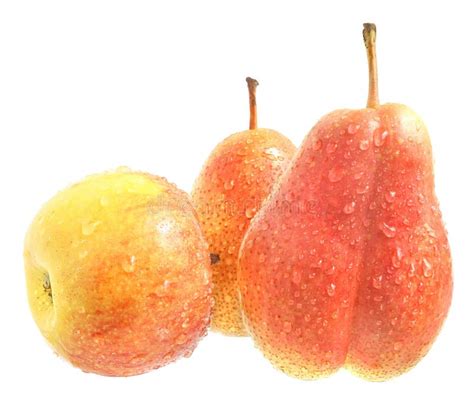 Apple And Pear Stock Image Image Of Isolated Fruit 11359593