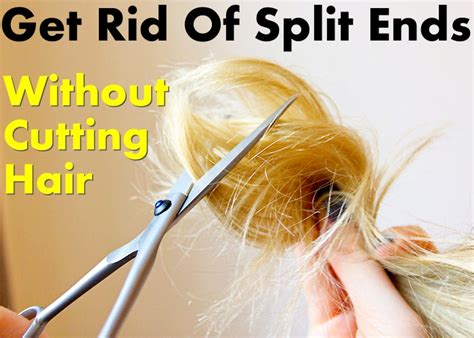 Home Remedies For Split Ends Without Cutting Hair Shaft Home