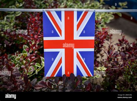 Union Jack Bunting On A Hedge Row One Flags In Row Stock Photo Alamy