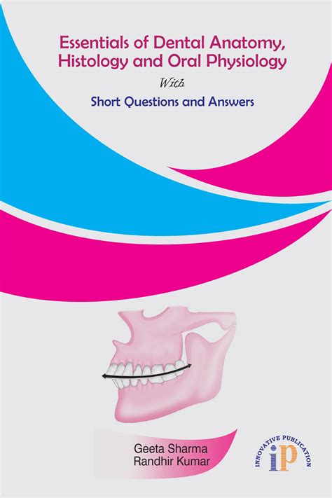 Innovative Essentials Of Dental Anatomy For 2024 Exam
