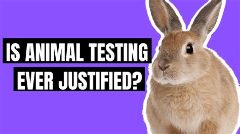 Animal Testing Pros And Cons Youtube