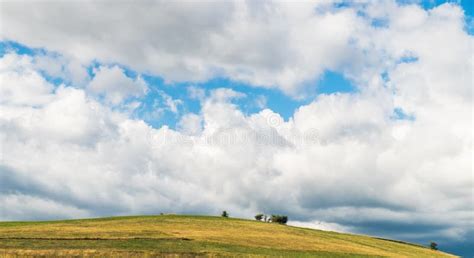 Countryside Landscape Hill And Lonely Tree Stock Photo Image Of