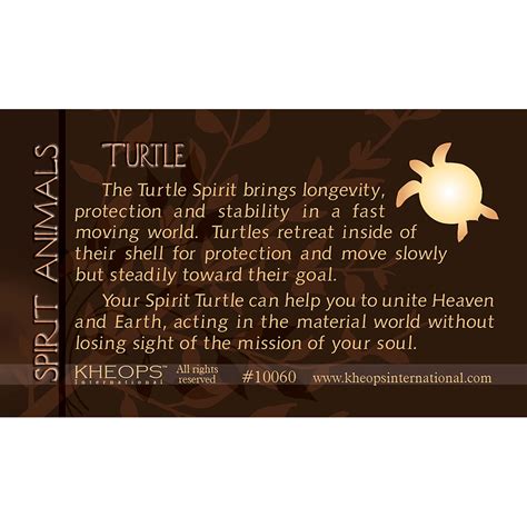 Spirit Animal Info Card Turtle Each Kheops International