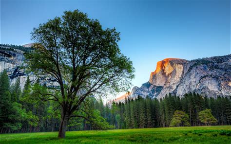 47 Free Yosemite Wallpaper On Wallpapersafari
