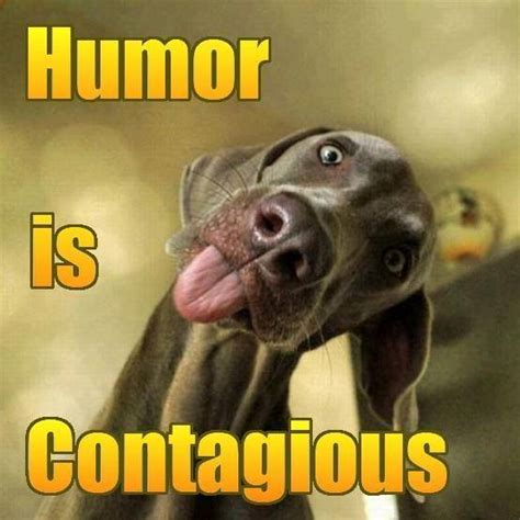 Humor Is Contagious