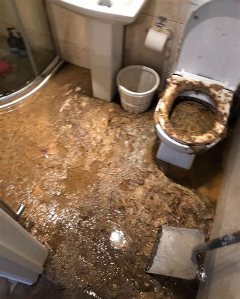 Plumber Reveals Most Shocking Job He S Ever Attended After POO VOLCANO