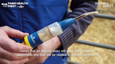 Coccidiosis is caused by microscopic protozoan parasites called coccidian (eimeria spp.). Cocci in the Dairy Herd: Treating Coccidiosis in Calves ...