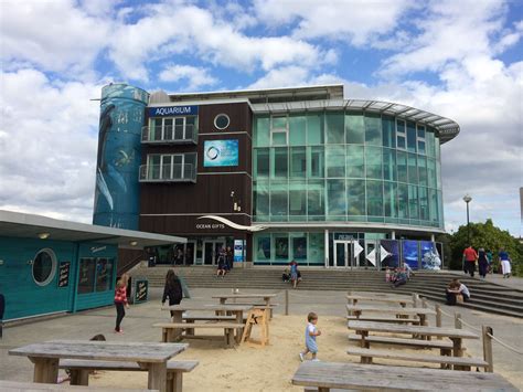 National Marine Aquarium A Huge Asset To Plymouth And Strongly Linked