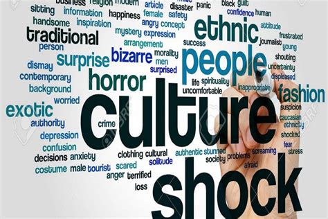 Culture Shock Its Stages Example Symptoms And Prevention Wikye