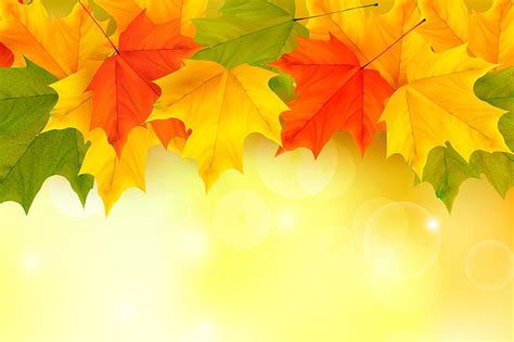 Hd Wallpaper Yellow Red And Green Leaf Leaves Background Autumn