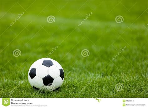 Soccer Football Ball On Soccer Field Green Grass Soccer Pitch Stock