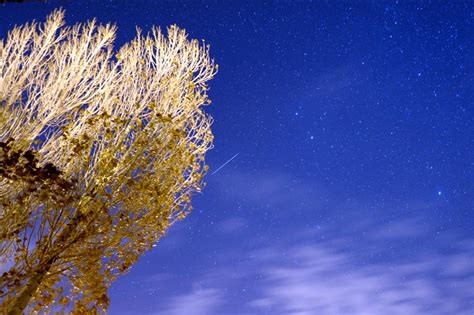 A meteor shower in august 1583 was recorded in the timbuktu manuscripts. Antalya ve Van'da meteor yağmuru gözlendi - Anadolu Ajansı