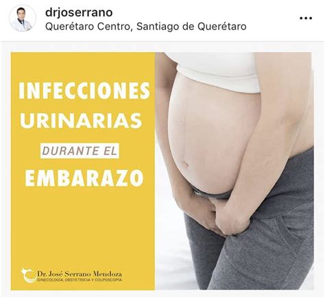 Infecci N Urinaria Durante El Embarazo