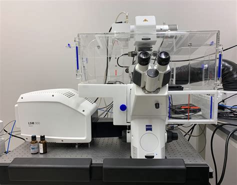 Confocal Microscopy Keith R Porter Imaging Facility Umbc