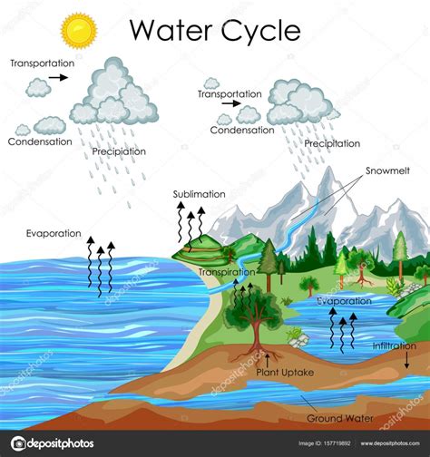 Paper Water Cycle Diagram En 2021 Ciclo Del Agua Dia Del Planeta