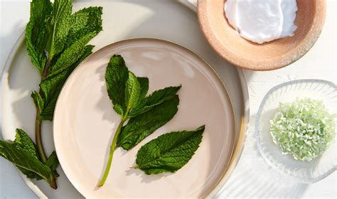 What Does Peppermint Oil Do in Skin Care? | Skincare.com | Skincare.com
