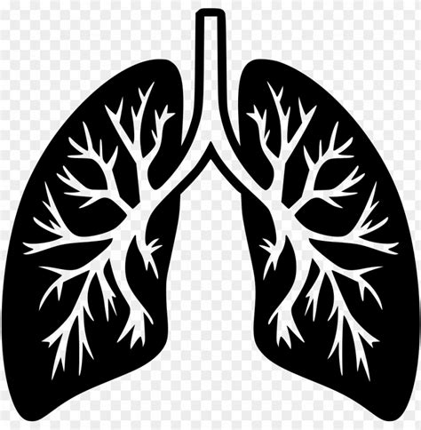 Lungs Comments Lungs Png Image With Transparent Background Toppng