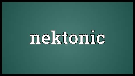 Nektonic Meaning Youtube