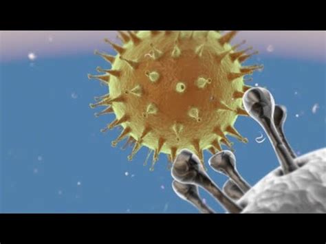 Full coronavirus statistics for today. Les coronavirus | AFP Animé - YouTube
