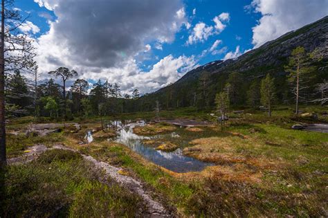 Fonds Decran Norvège Parc Montagnes Rago National Park Arbres Nuage