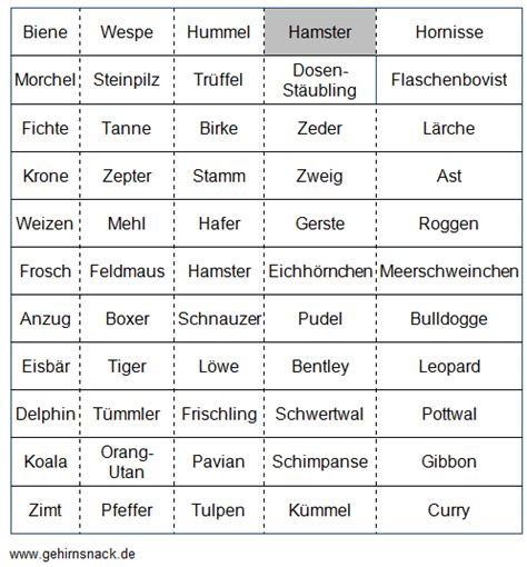Bleiben sie noch lange geistig fit mit gehirnjogging für die grauen zellen! Pin auf Kognitives Training