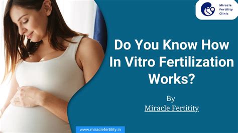 Do You Know How In Vitro Fertilization Works Youtube