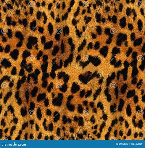 Leopard Texture Stock Image Image Of Fashion Design 3185639