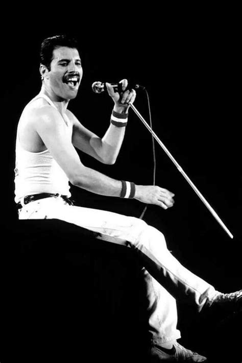 The acclaimed greg brooks & simon lupton book, freddie mercury: Pin by picture-life on forever - Queen - Freddie | Queen ...