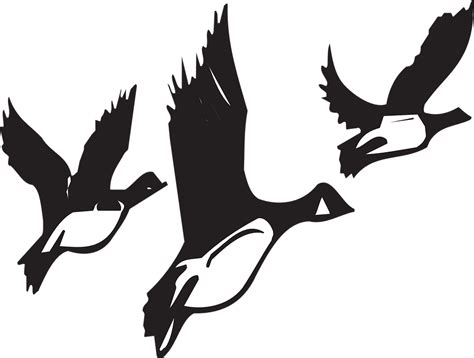 Geese Flying Birds · Free Vector Graphic On Pixabay