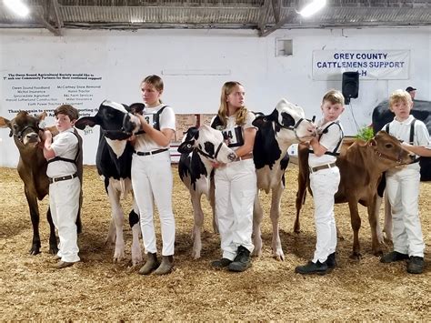 Owen Sound fair welcomes people back in pre-pandemic numbers | Owen