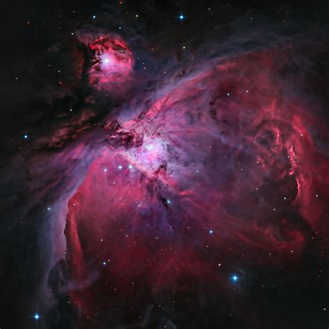 M42 The Orion Nebula Telescope Live