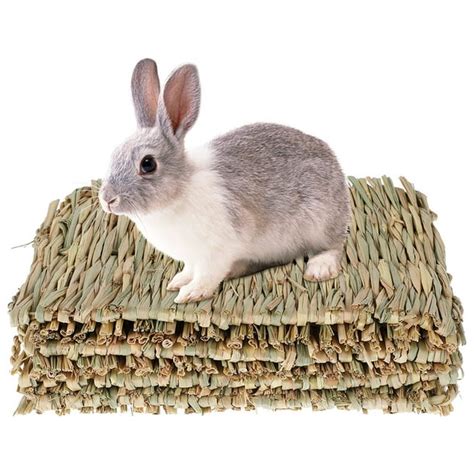 Pcapzz 4pcs Grass Mat For Rabbits Bunnyrabbit Grass Mat Pet Natural