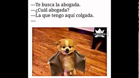 Imágenes de memes divertidos | Imágenes