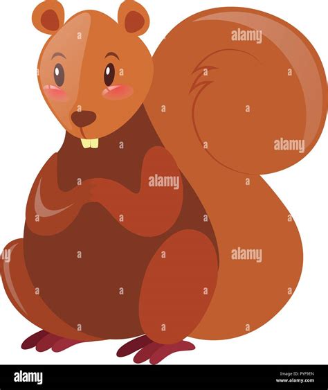 Squirrel With Brown Fur Illustration Stock Vector Image And Art Alamy