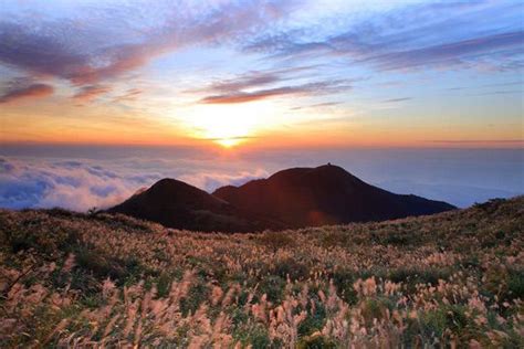 台湾阳明山 一座火山的温柔故事新浪旅游新浪网