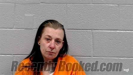 Recent Booking Mugshot For Carrie Lynn Cox In Raleigh County West Virginia