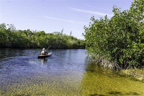 Top Activities In Everglades National Park