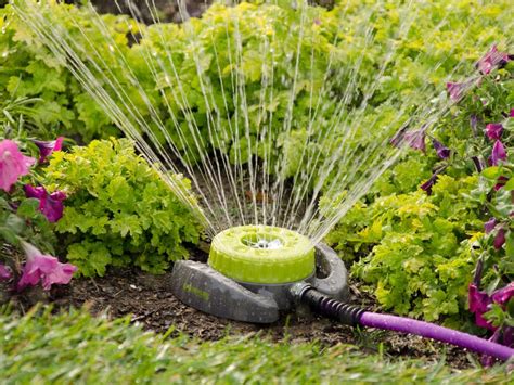 How To Conserve Water In Your Garden And Landscape Hgtv