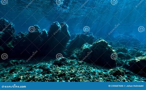 Fairy Tale Landscape Underwater In Sunlight Stock Photo Image Of