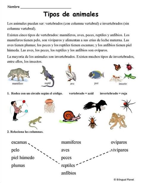 Ciencias Naturales Seres Vivos Primaria Cocorios