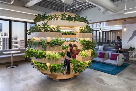 11 Reasons Why Office Plants Are Good For Business Fast Fitouts