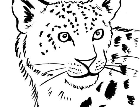 Maybe you would like to learn more about one of these? Snow Leopard Coloring Page - Samantha Bell