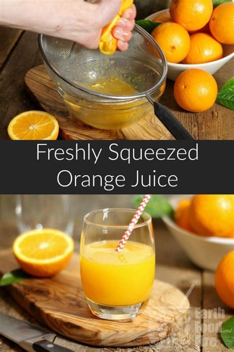 Fresh Squeezed Orange Juice Recipe Homemade Orange